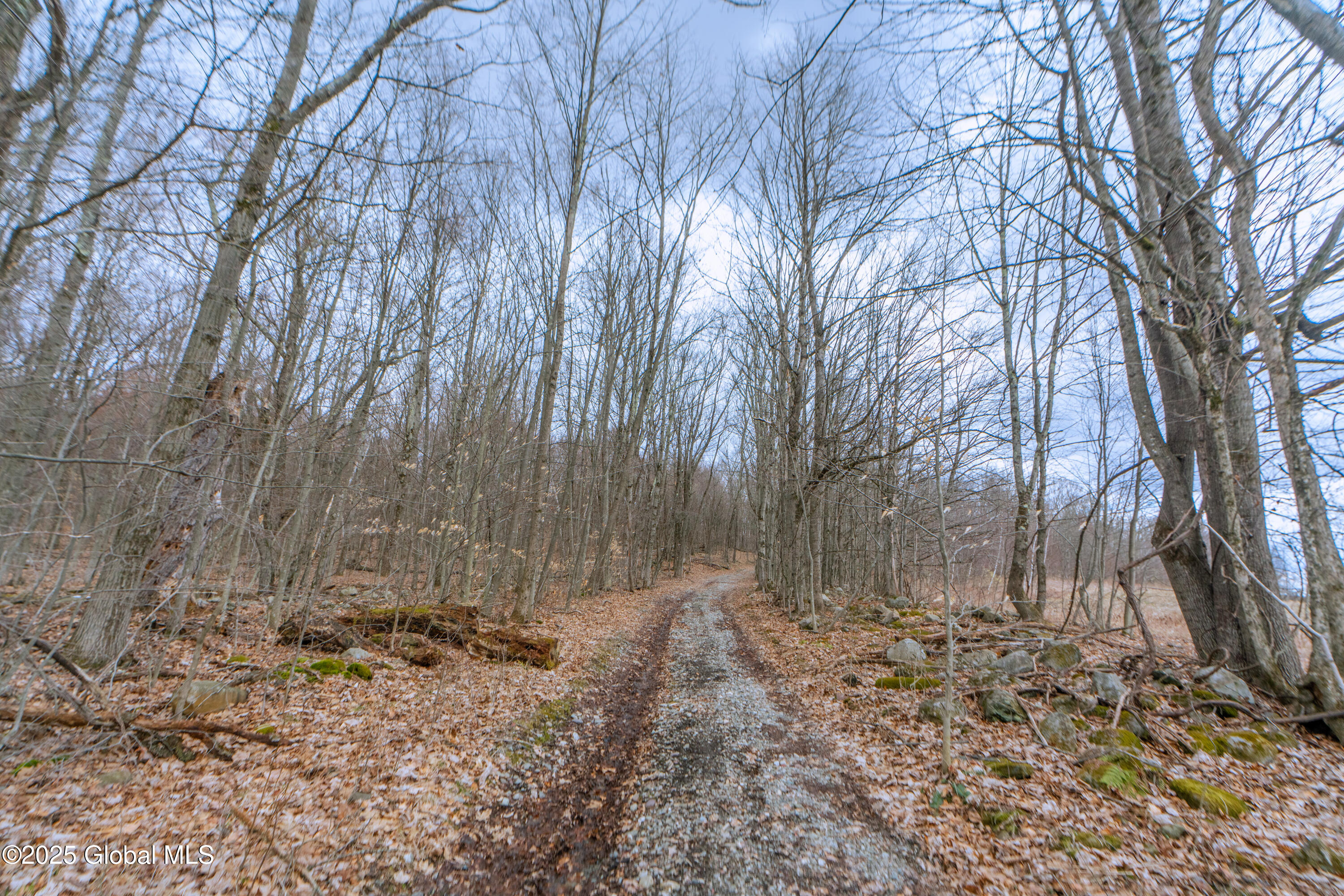 52 Oakhill Road Granville, NY 12832 - Photo 3 of 35 DSC03834