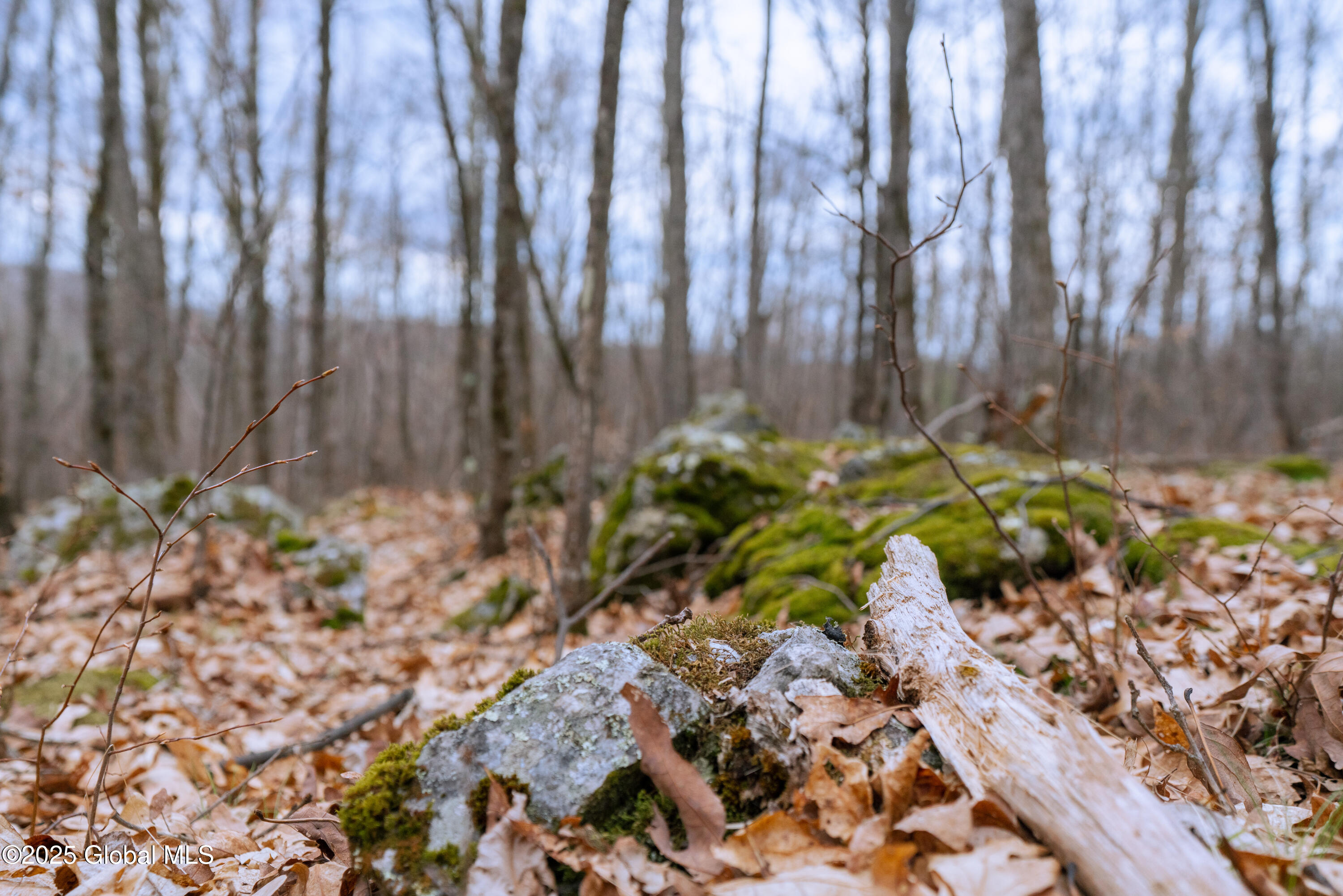 52 Oakhill Road Granville, NY 12832 - Photo 32 of 35 DSC03862