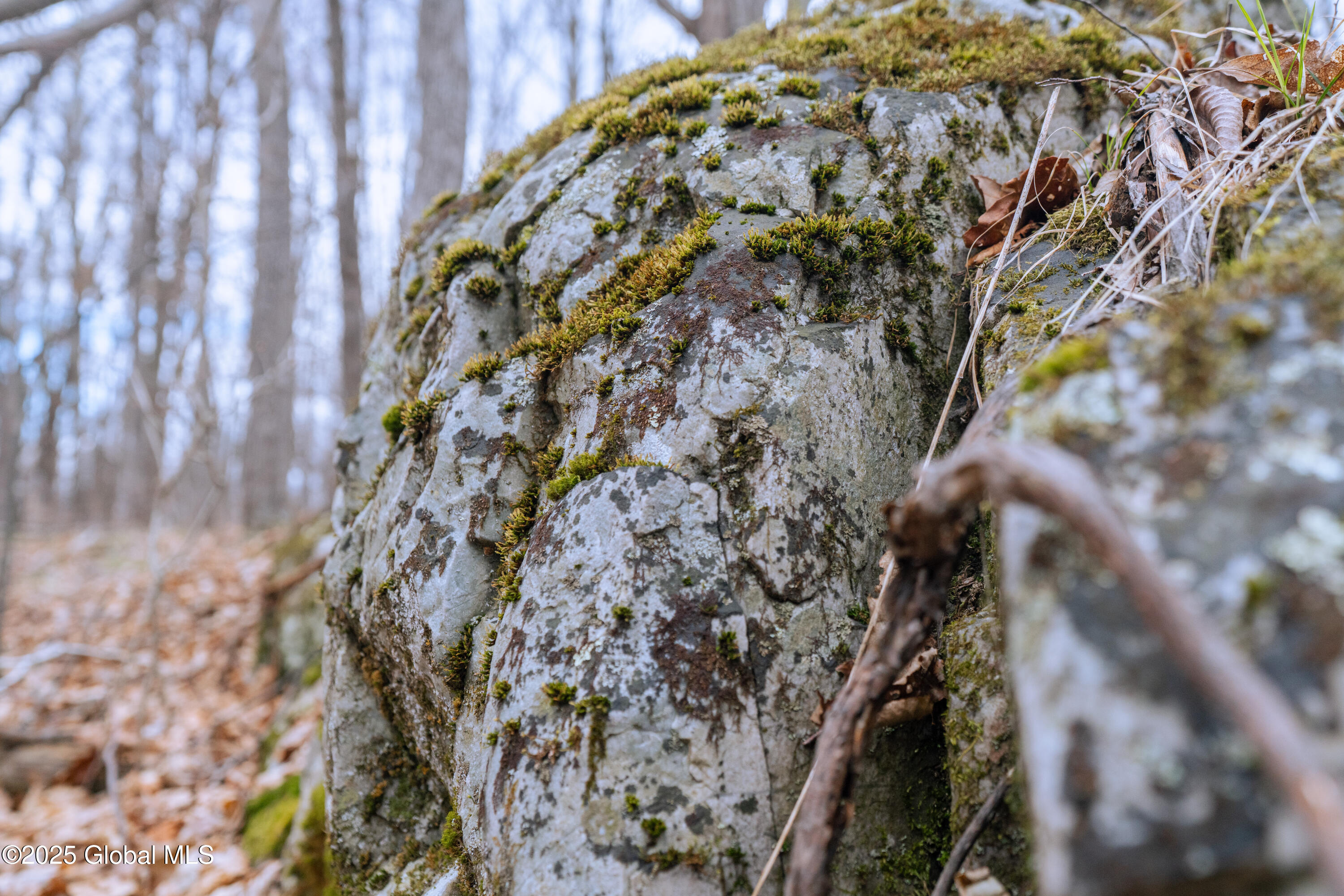 52 Oakhill Road Granville, NY 12832 - Photo 34 of 35 DSC03865