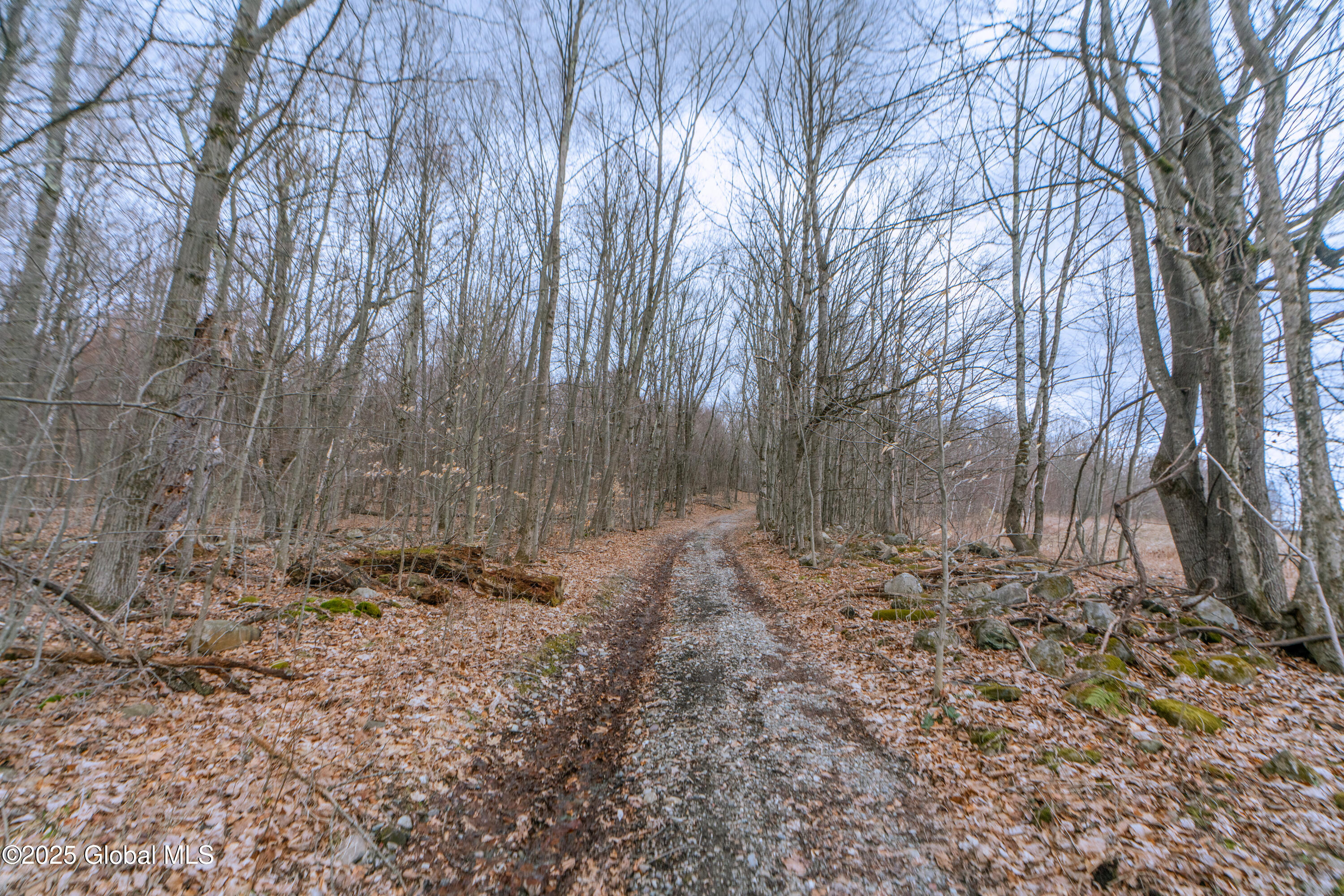 52 Oakhill Road Granville, NY 12832 - Photo 4 of 35 DSC03835