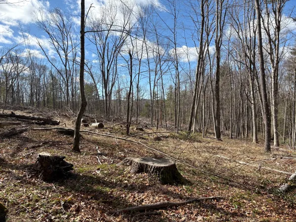 $115,000 | Lot 2 Birch Hill Road, Harwinton, CT 06791