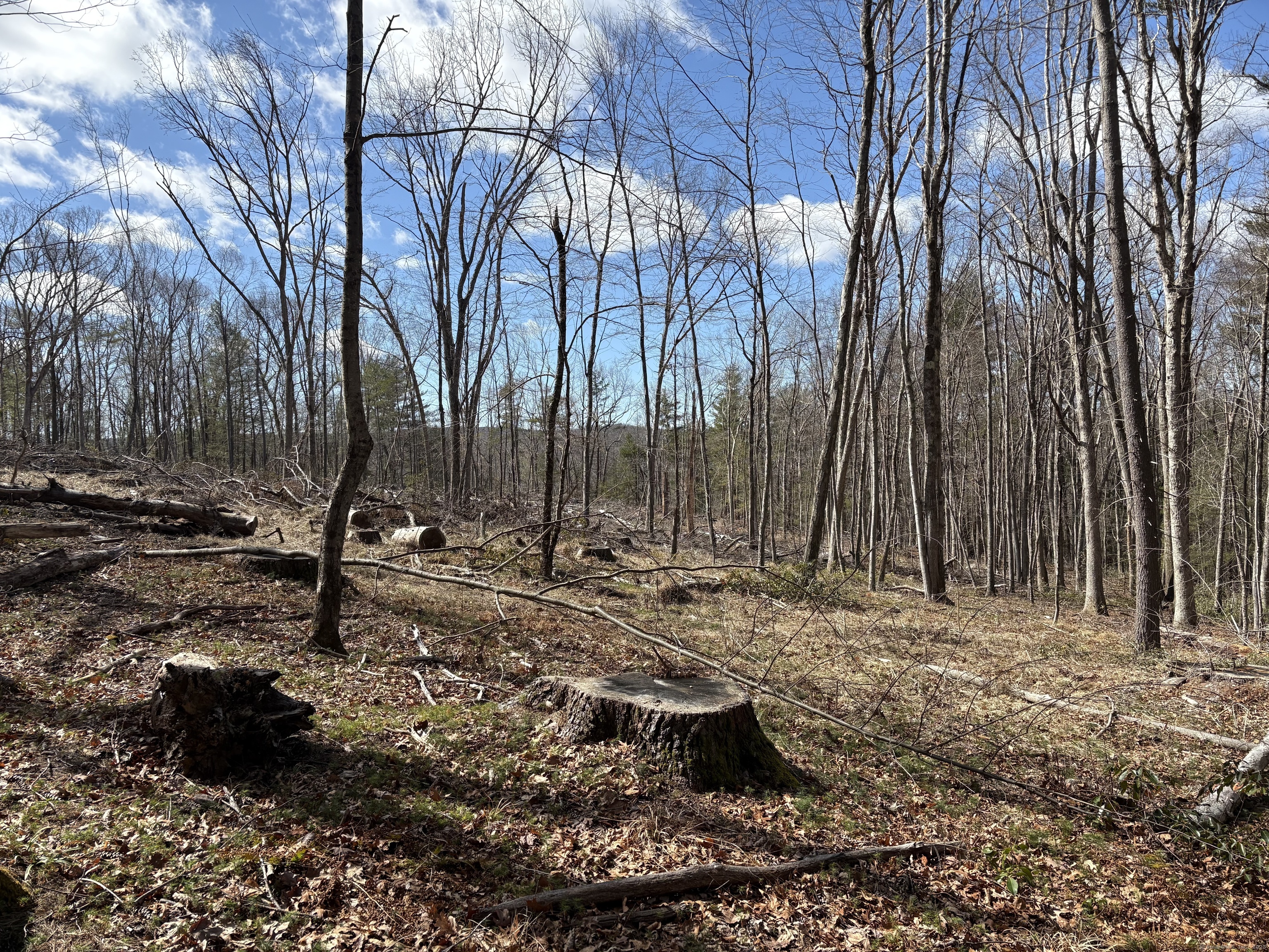 Lot 2 Birch Hill Road Harwinton, CT 06791 - Photo 3 of 6
