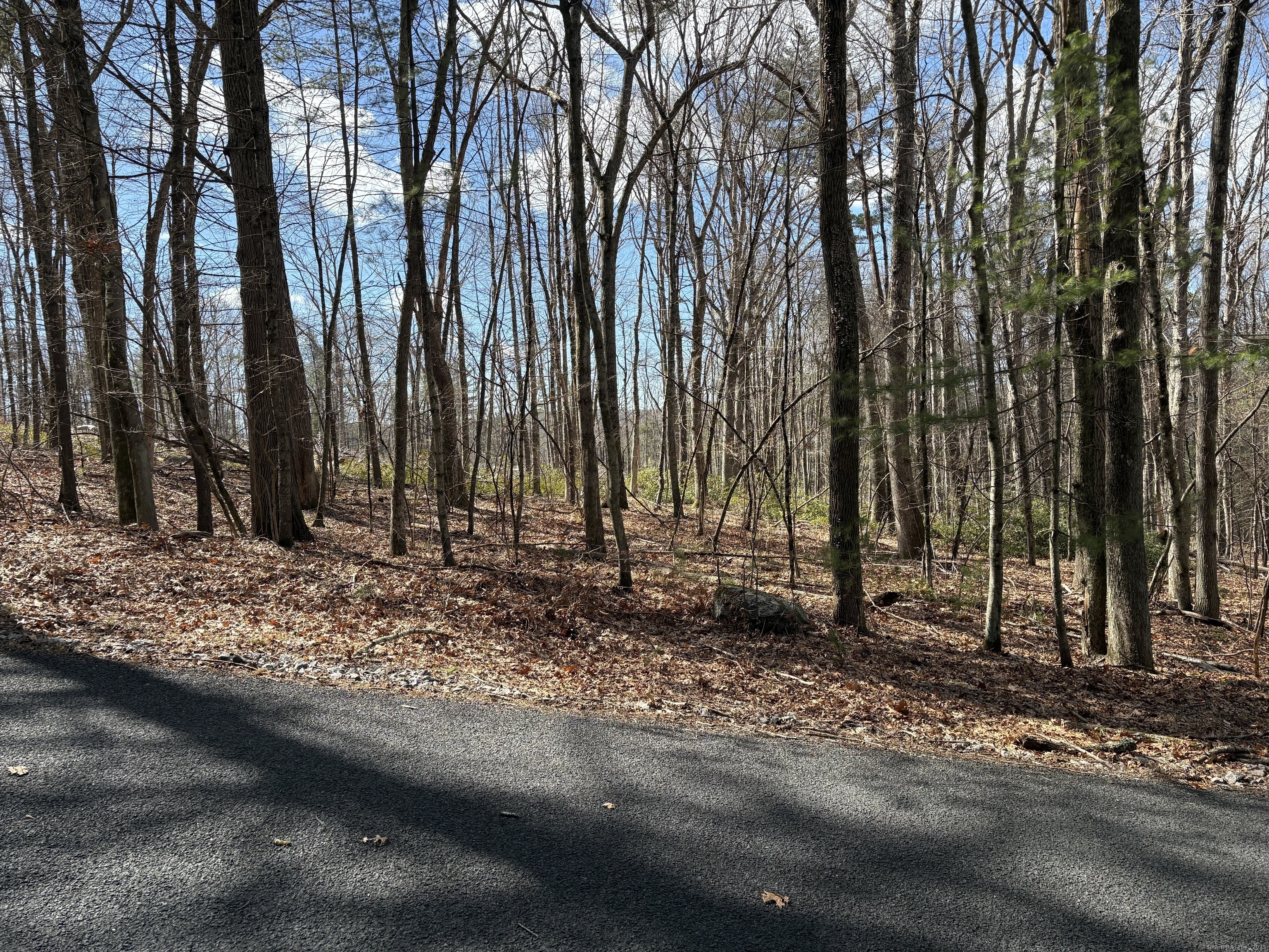 Lot 2 Birch Hill Road Harwinton, CT 06791 - Photo 4 of 6