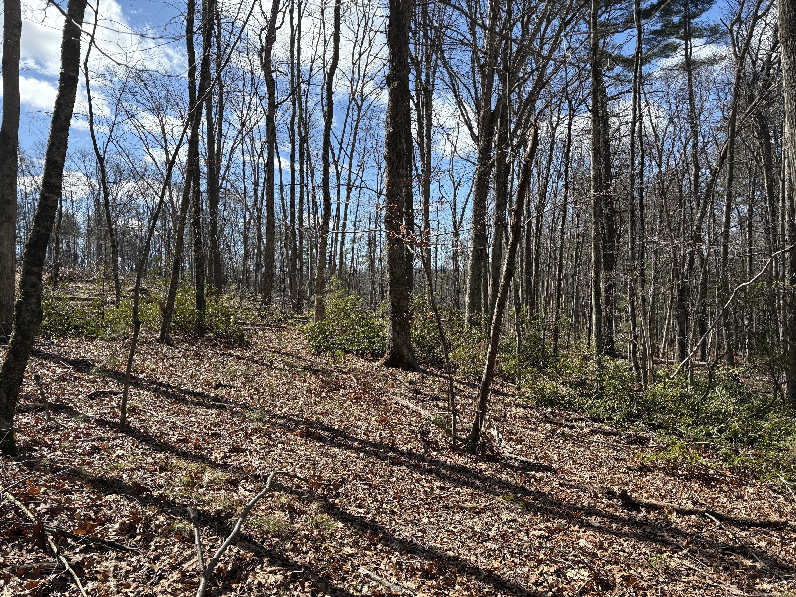 Lot 2 Birch Hill Road Harwinton, CT 06791 - Photo 6 of 6