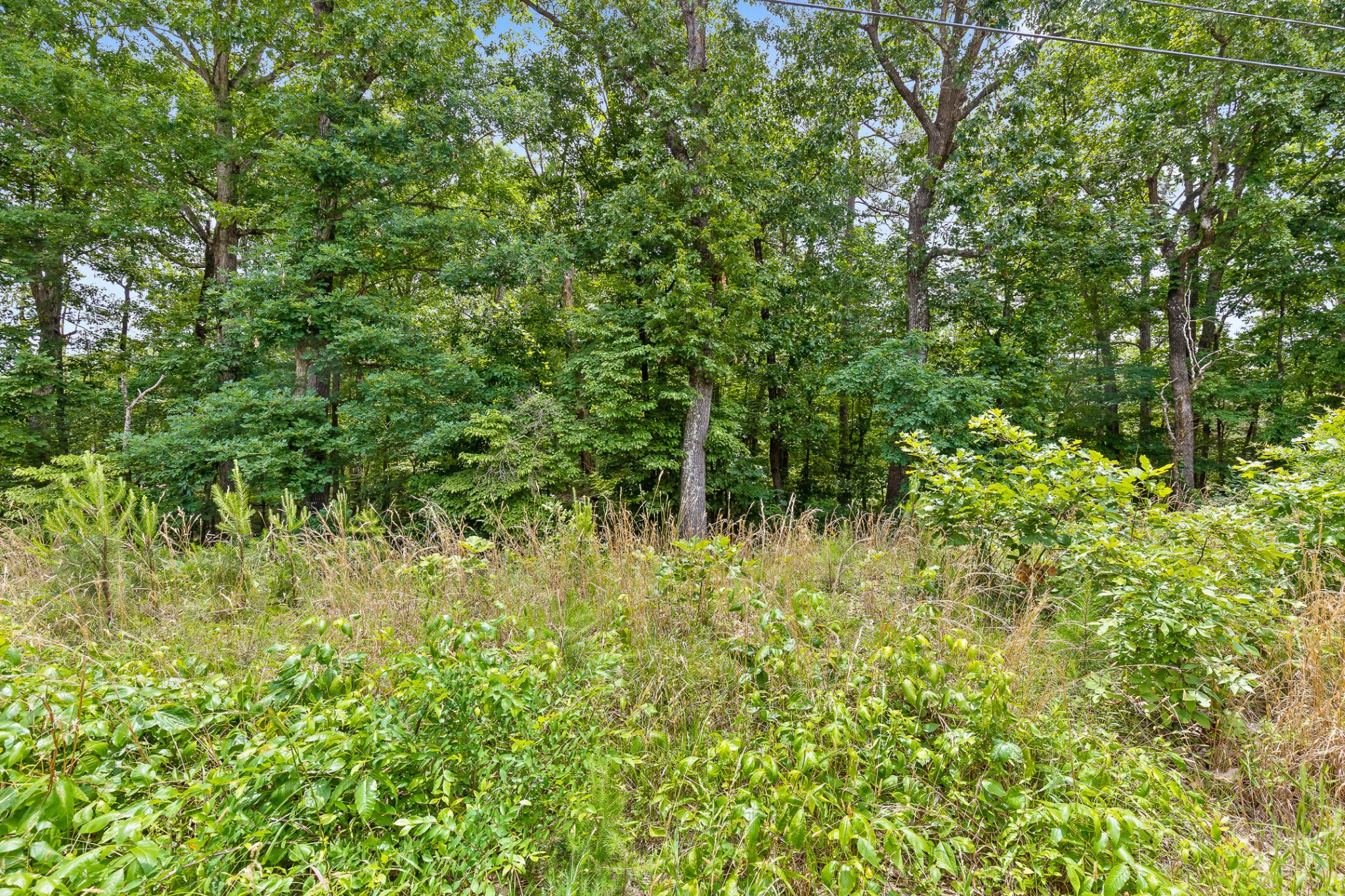683 Mt Pisgah Road Ringgold, GA 30736 - Photo 12 of 20 Gallery Image 12