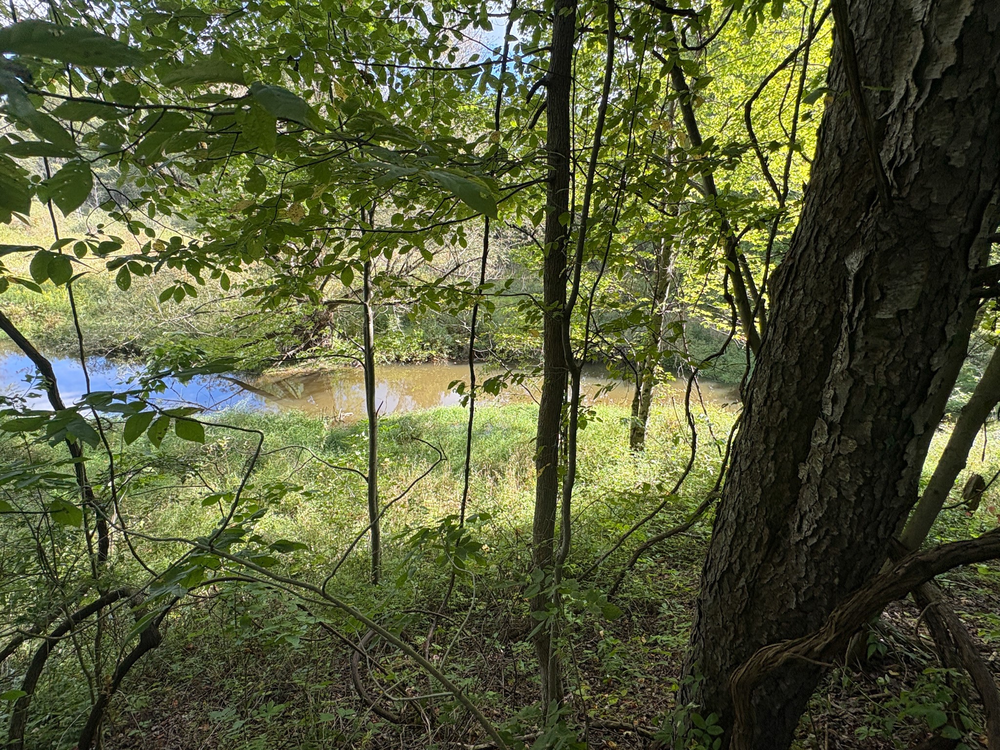 Scribner Road Pierpont, OH 44082 - Photo 17 of 20 Gallery Image 17