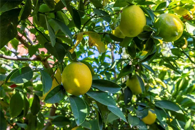 $599,999 | 10022 Chula Vista Way, Riverside, CA 92503