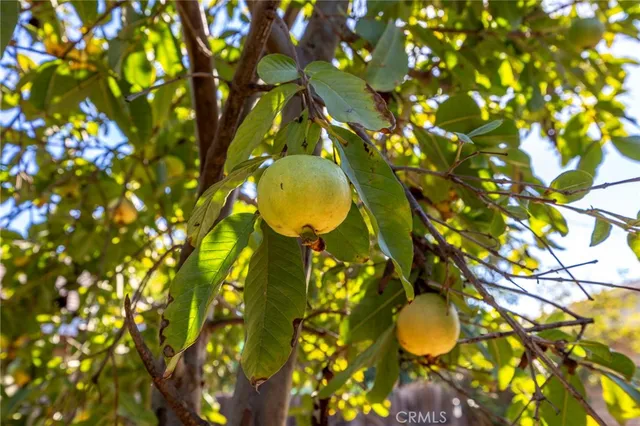 $599,999 | 10022 Chula Vista Way, Riverside, CA 92503