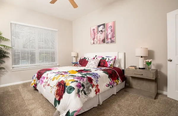 $1,275 | 4001 Fannin Street, Unit 4637, Houston, TX 77004