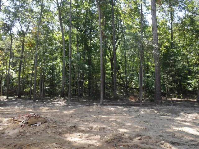 a view of outdoor space with trees