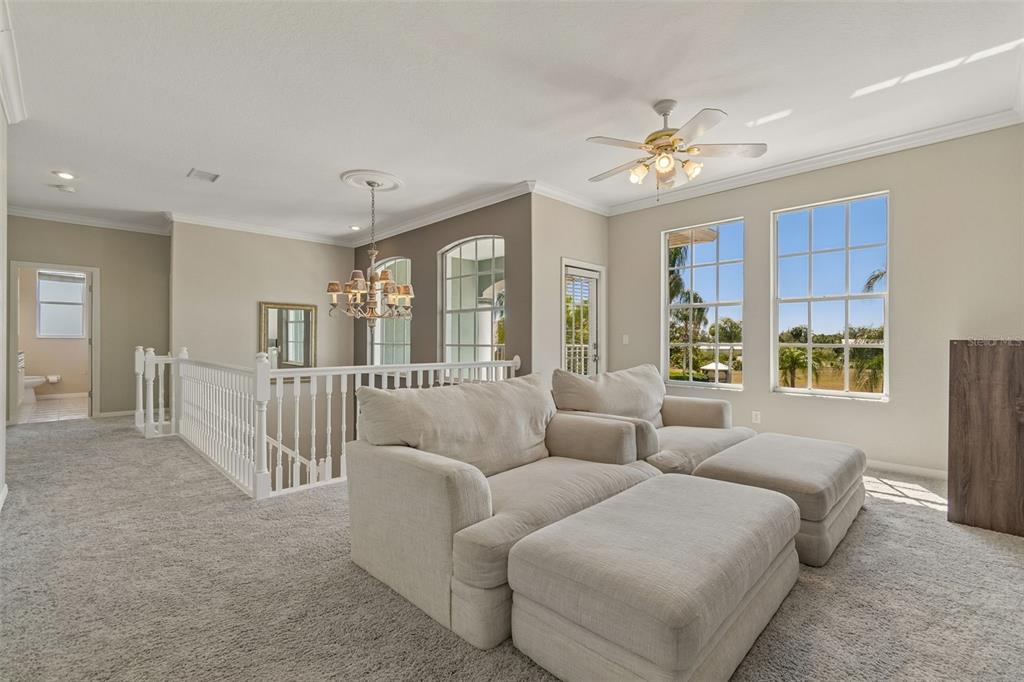 703 Bunker View Drive Apollo Beach, FL 33572 - Photo 31 of 49 a living room with furniture and a chandelier