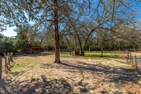a view of a yard with trees