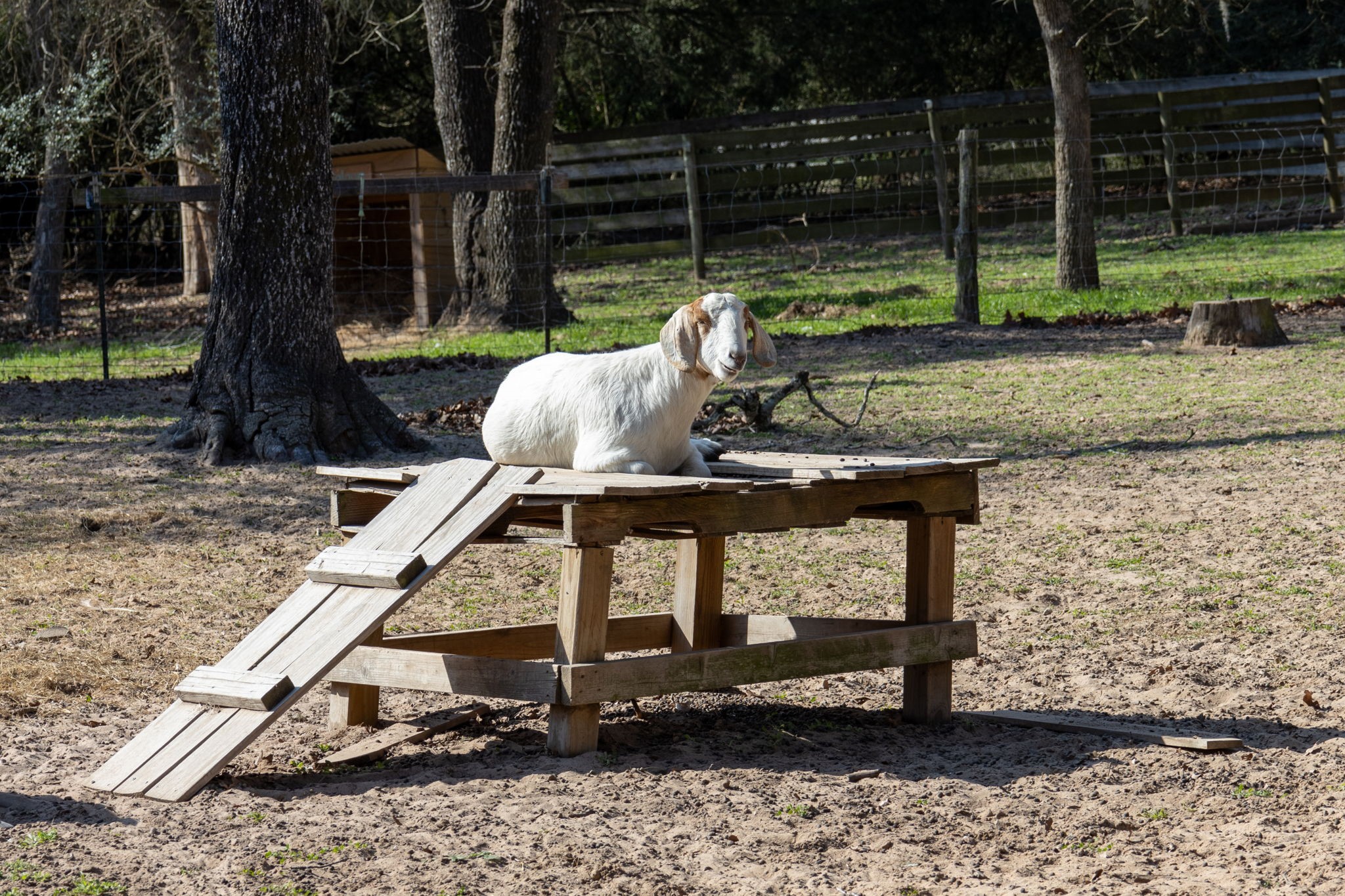 1760 County Road 215 Weimar, TX 78962 - Photo 49 of 50