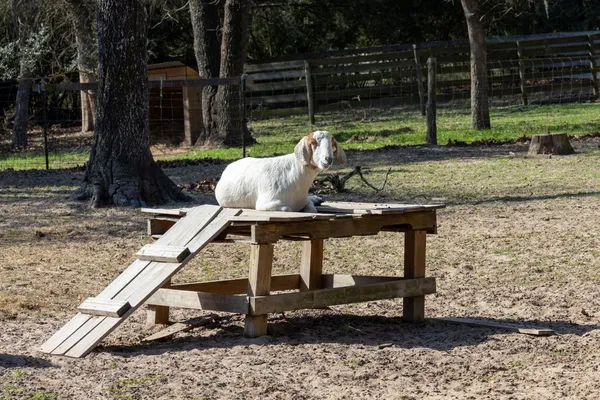 a house view with a sitting space and garden space