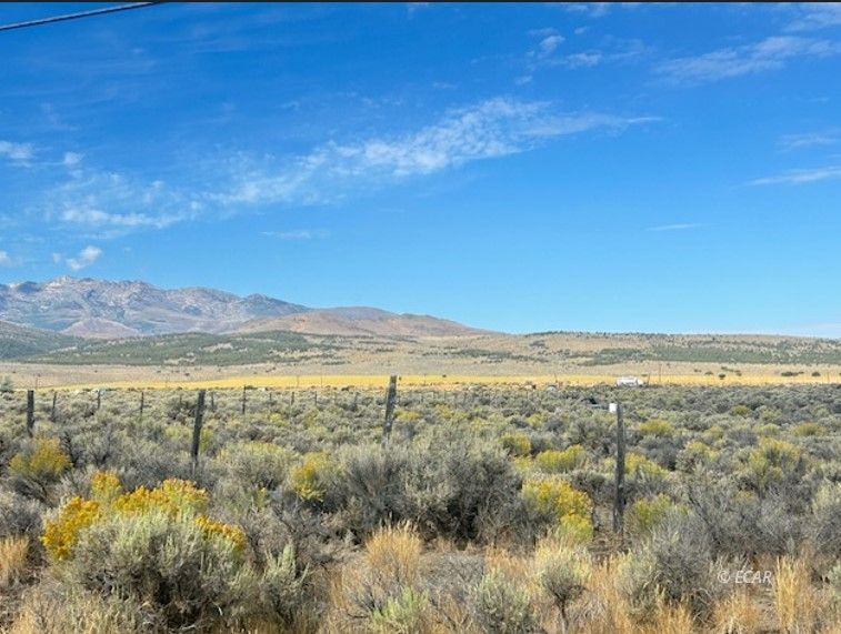 Old Clover Valley Road Wells, NV 89835 - Photo 4 of 7