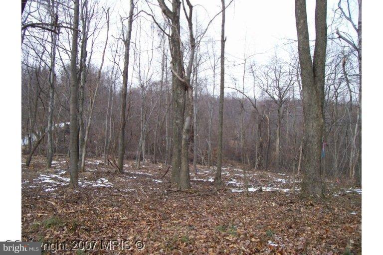 Poplar Springs Road Orrtanna, PA 17353 - Photo 1 of 1 Exterior (Main)