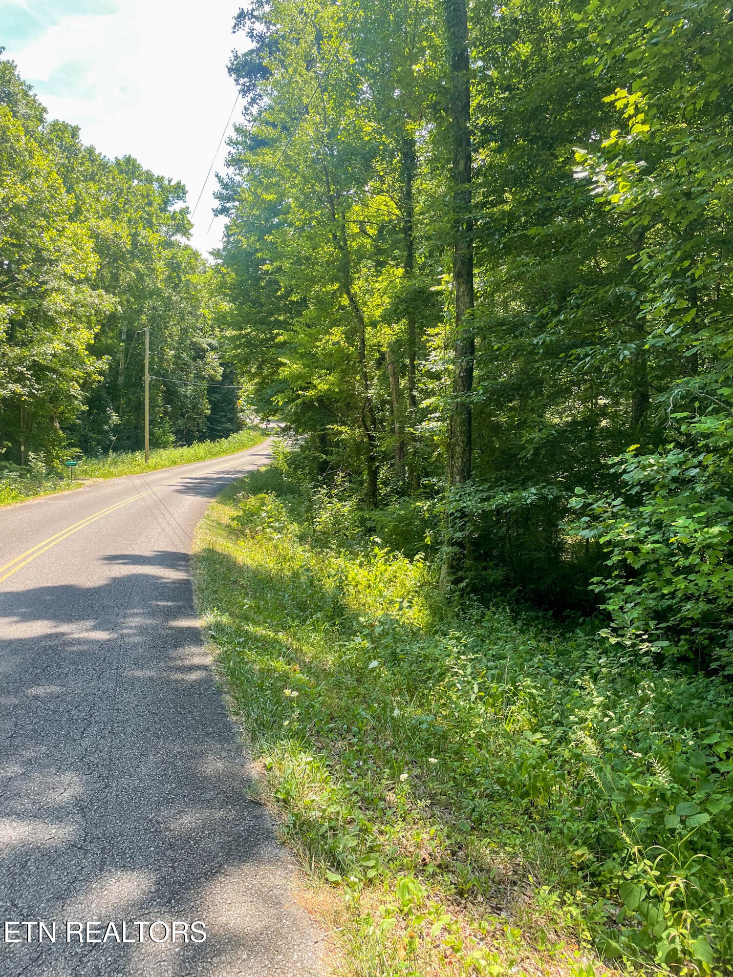 12 Pates Hill Road Mosheim, TN 37818 - Photo 11 of 14