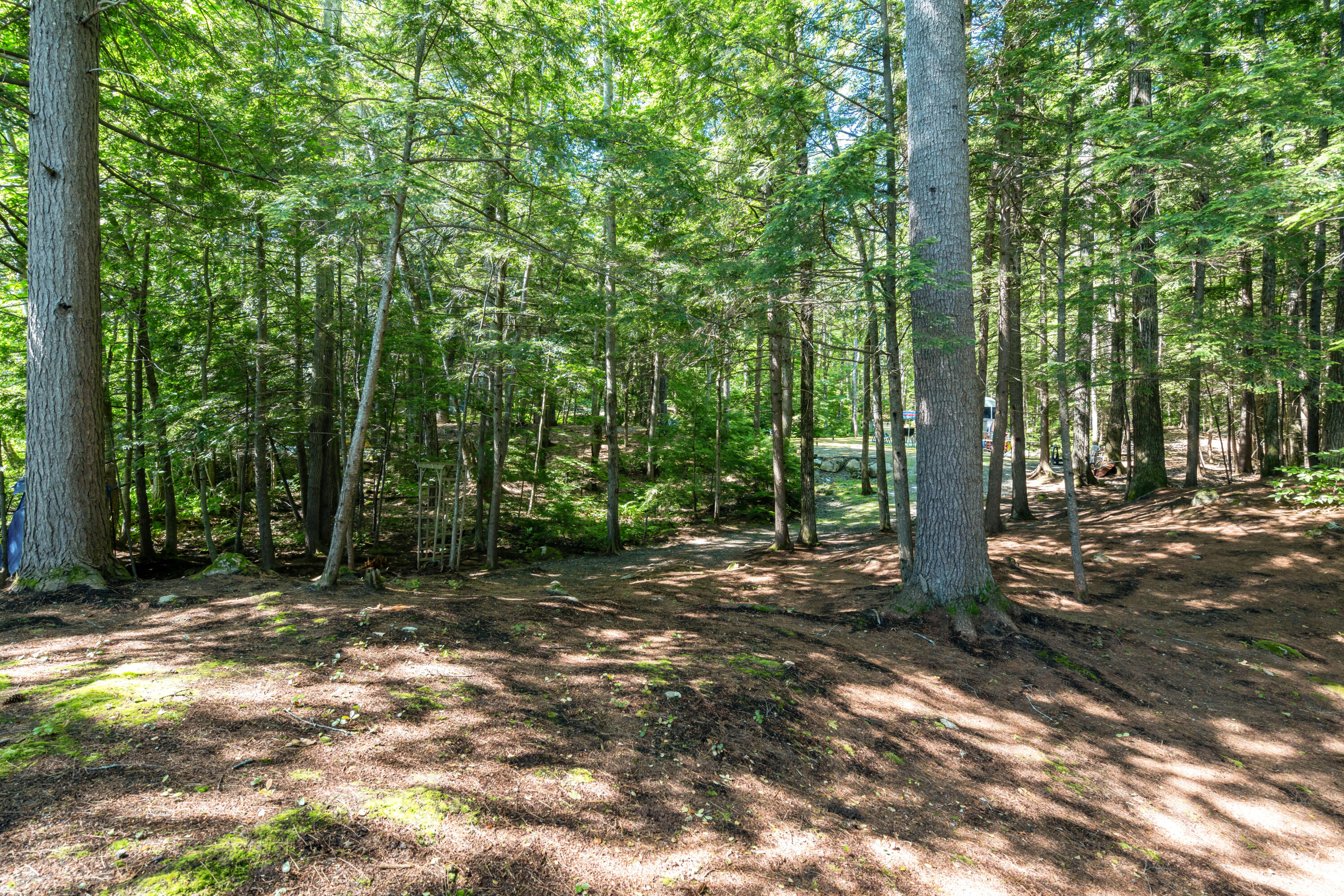 0 Stevens Cove Road Bridgton, ME 04009 - Photo 27 of 39 DSC09671
