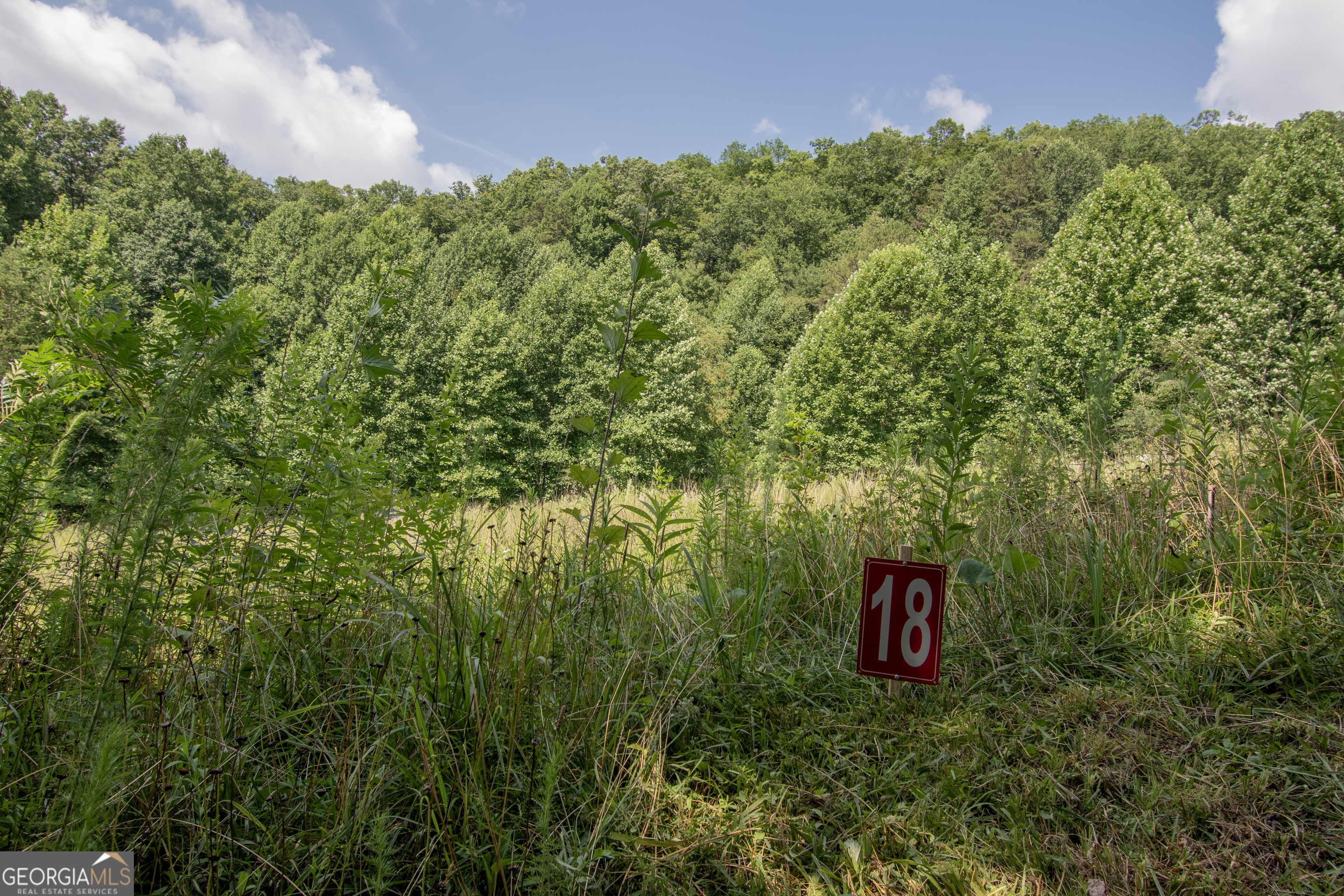 850 Bluff Road Marble, NC 28905 - Photo 28 of 31 Gallery Image 28