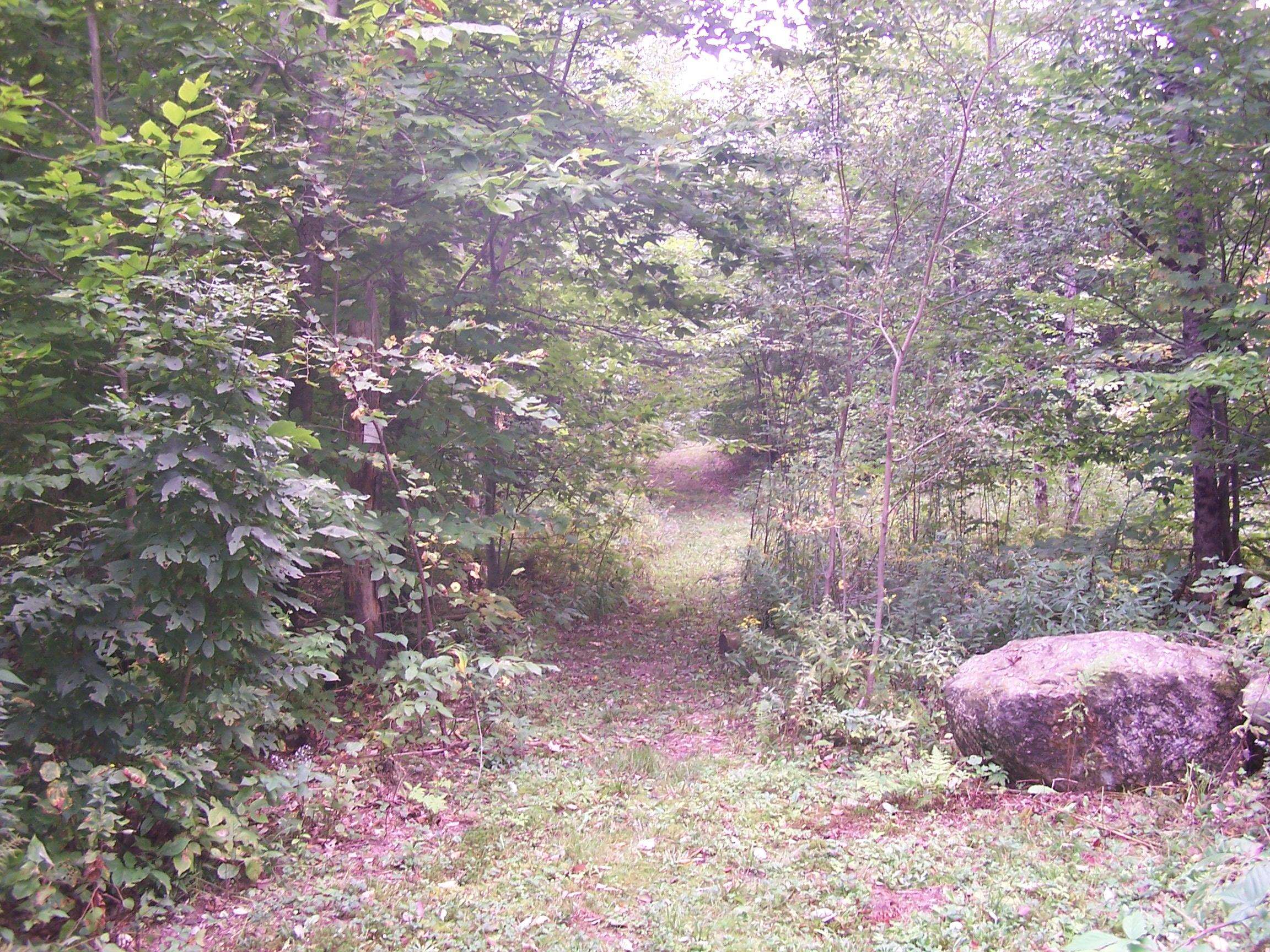 52 Pound Road Wilmot, NH 03287 - Photo 3 of 6