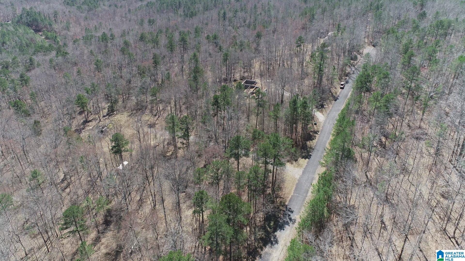 569 Ridge View Drive, Unit 5 AC Trussville, AL 35173 - Photo 2 of 21