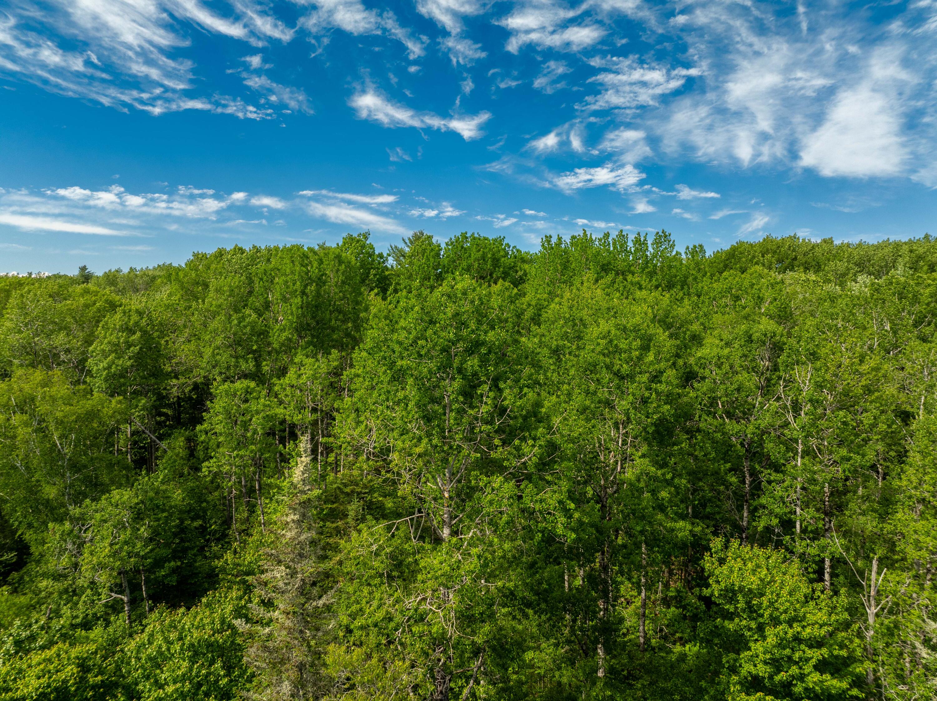 Lot #28 Station Road Jonesboro, ME 04648 - Photo 22 of 26 6-17-26 Station Rd Lot Jonesboro (16 of