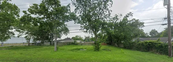 a view of yard with green space