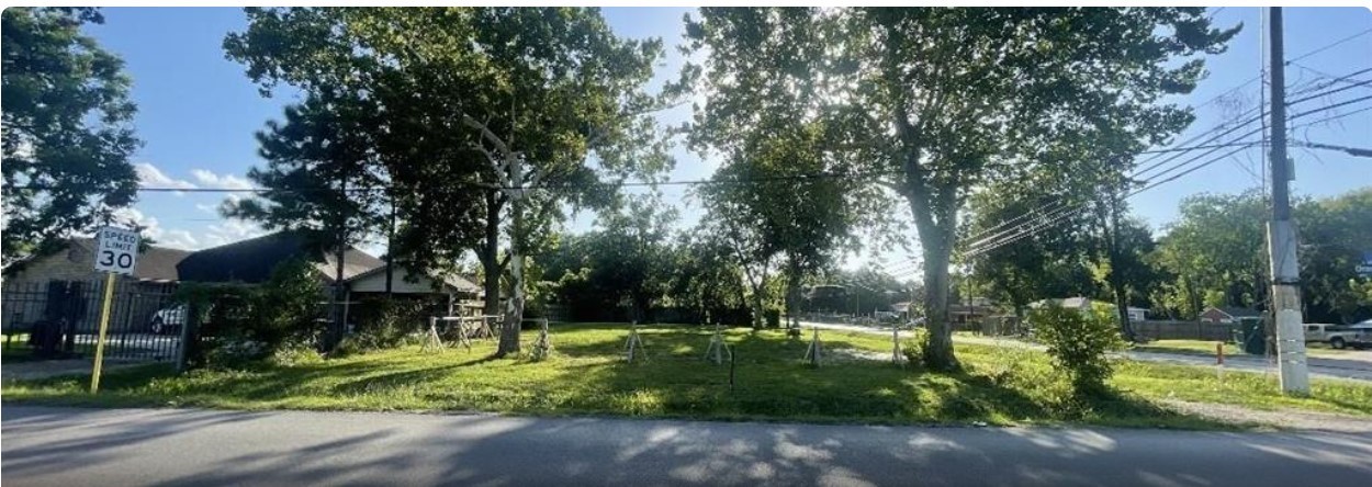 11769 Gloger Street Houston, TX 77039 - Photo 2 of 2 a view of backyard with green space