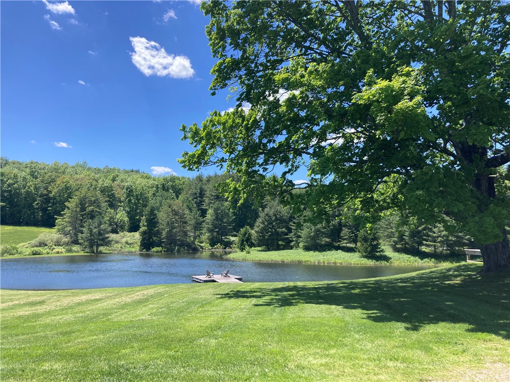 174 Fred Braun Road Unadilla, NY 13849 - Photo 29 of 50 Gallery Image 29