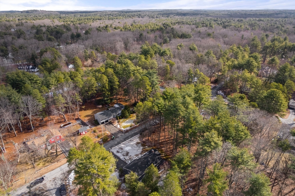59 Tanbark Road Sudbury, MA 01776 - Photo 41 of 42 an aerial view of forest