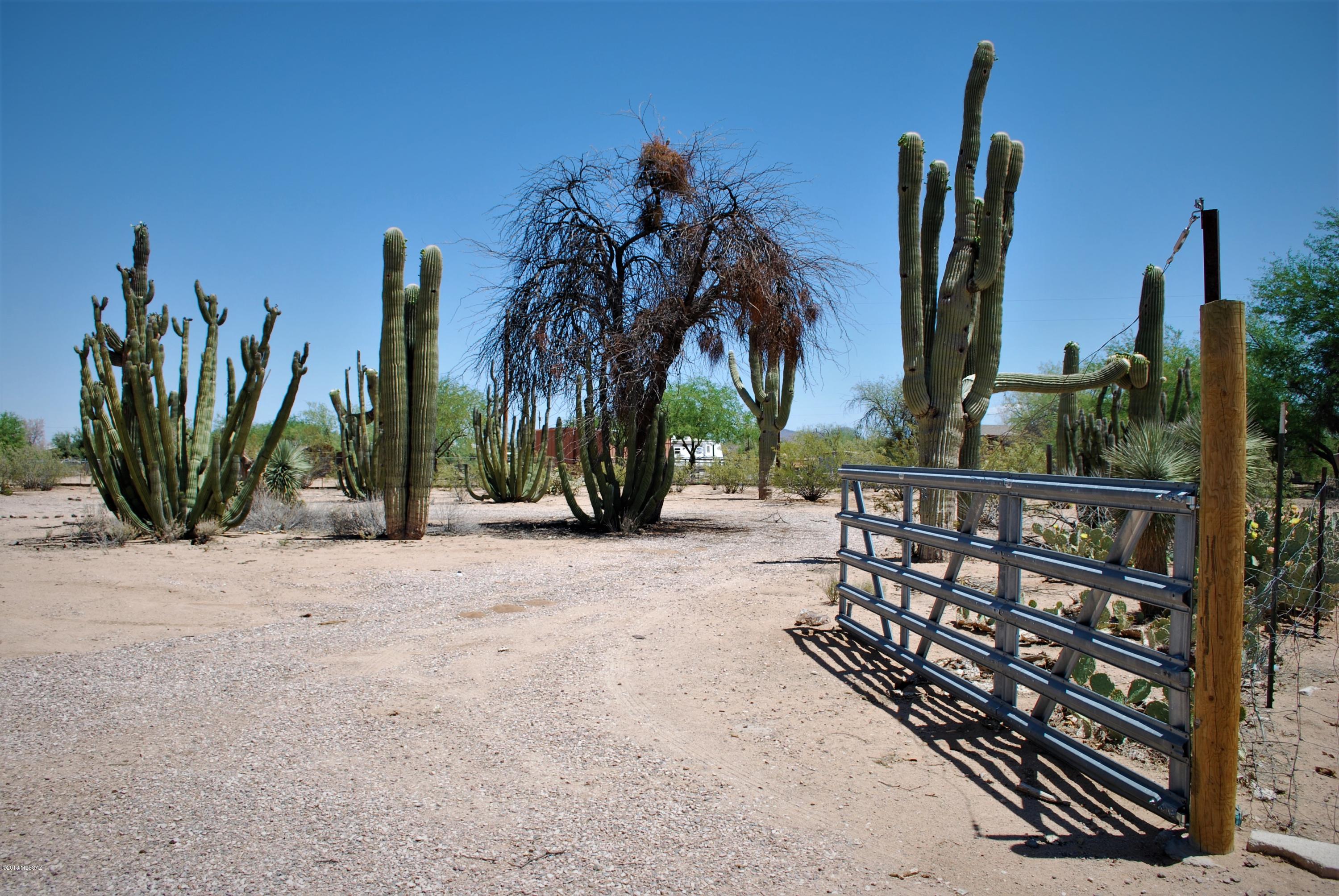 13054 West El Lobo Road Tucson, AZ 85743 - Photo 1 of 20 Gallery Image 1