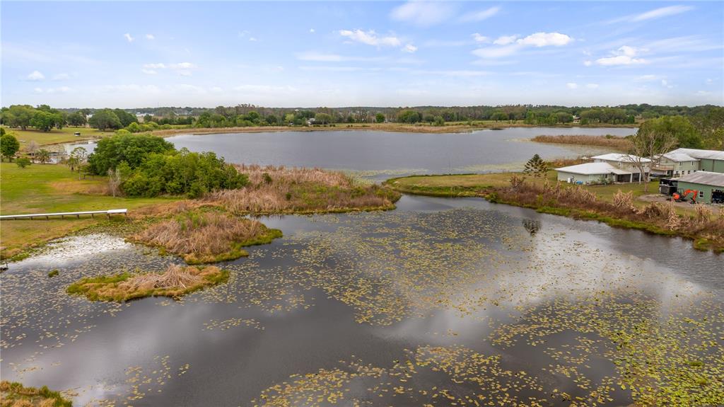 561 County Road Clermont, FL 34711 - Photo 18 of 24 a view of a lake with a beach