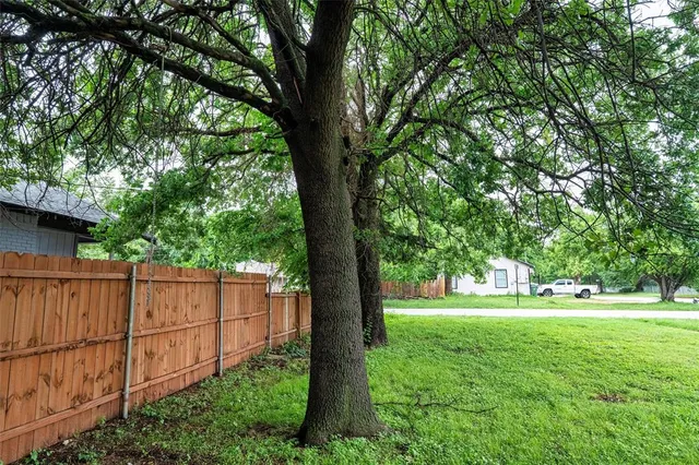 a view of lush green forest