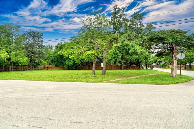 a view of a park with plants and large trees