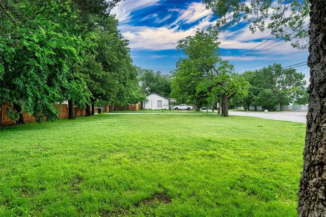 a view of a trees with a big yard
