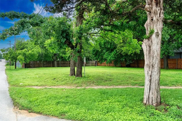 a view of green field with a tree