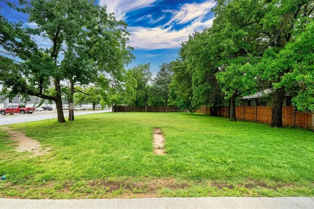 a view of a garden with a tree