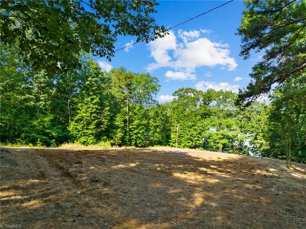 8 Lake Shore Road Semora, NC 27343 - Photo 5 of 13 Gallery Image 5