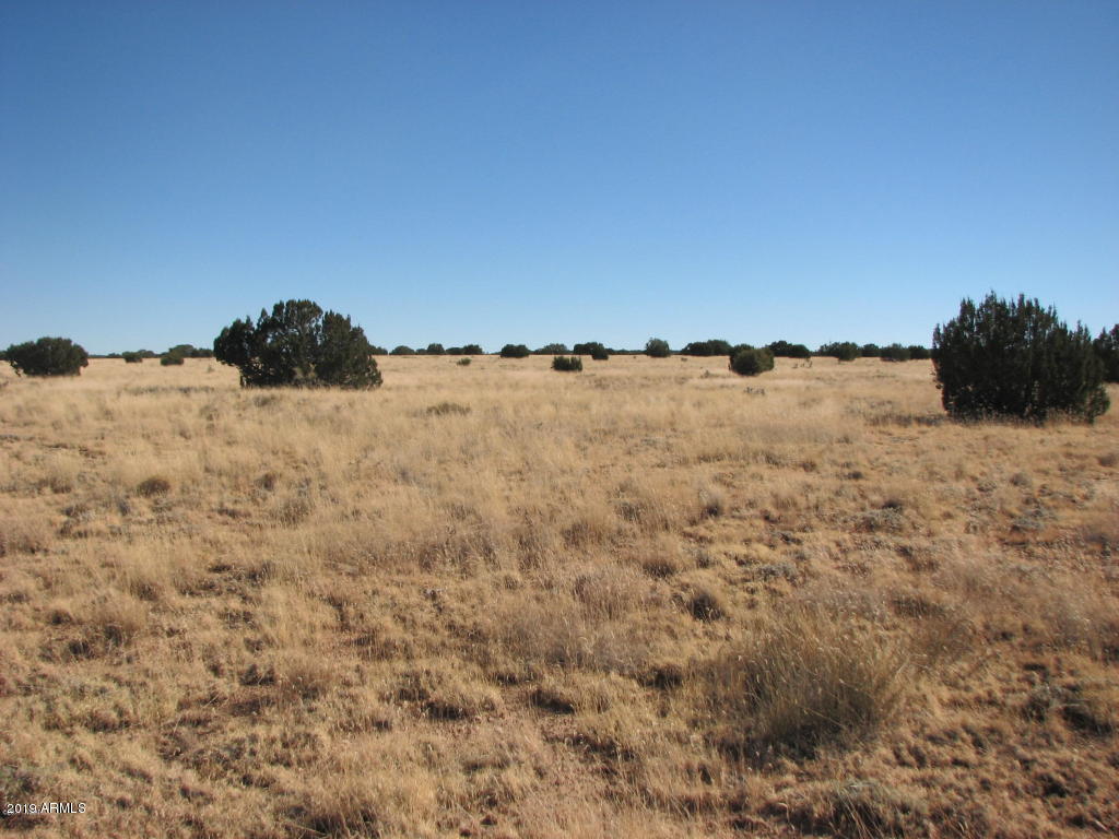 5054 Duck Lake Road, Unit 1 Heber, AZ 85928 - Photo 1 of 6 1
