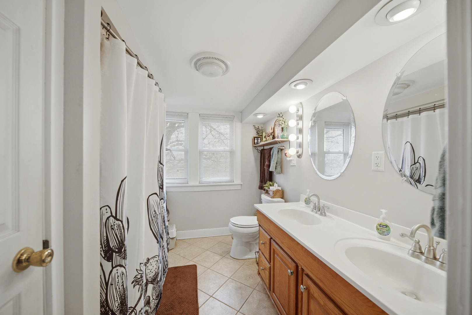 27754 Elm Road Milledgeville, IL 61051 - Photo 24 of 28 a bathroom with double vanity sink a mirror and a shower