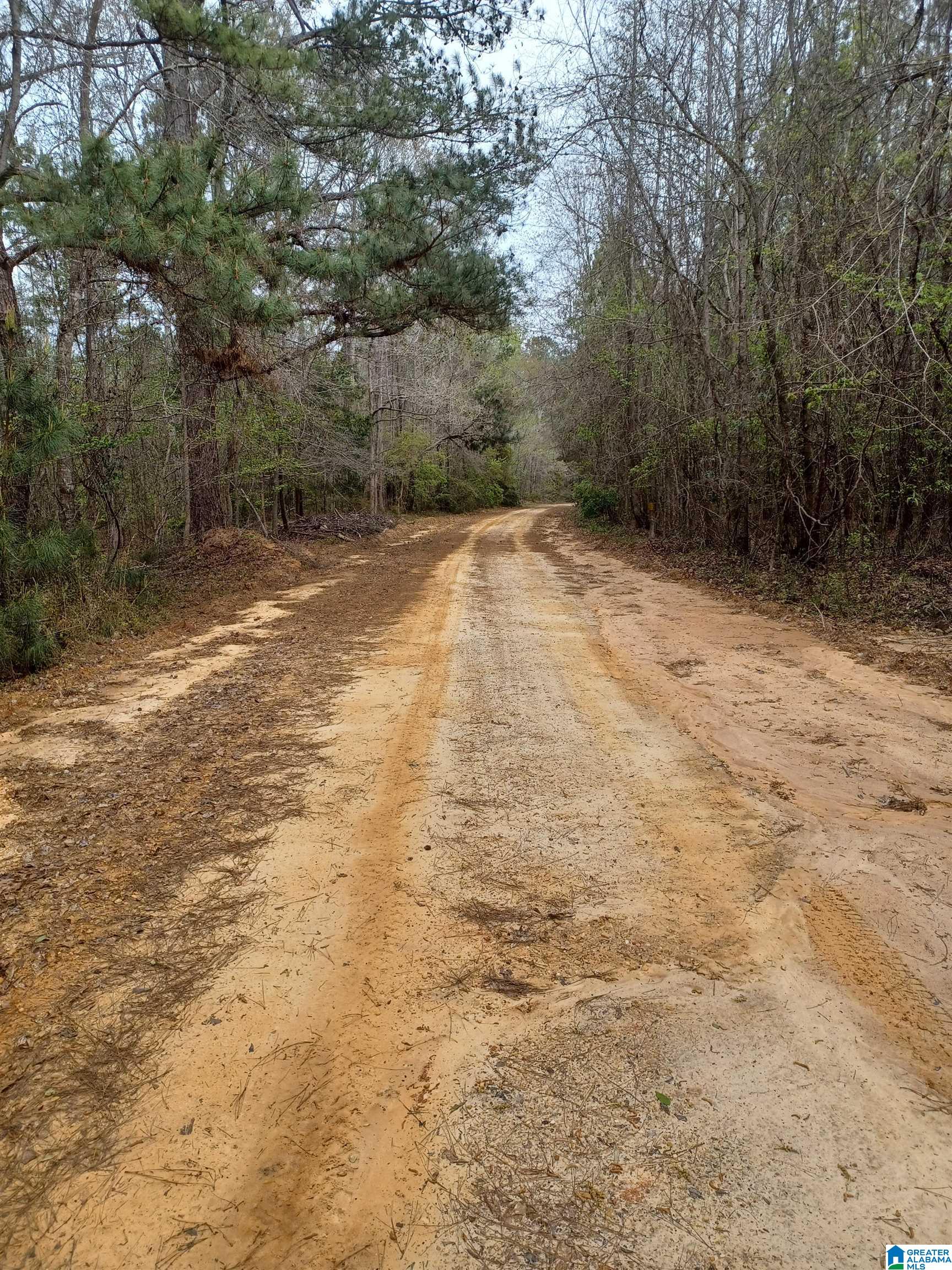 3702 Chitlin Switch Road, Unit SECTION 21 Camden, AL 36726 - Photo 4 of 5