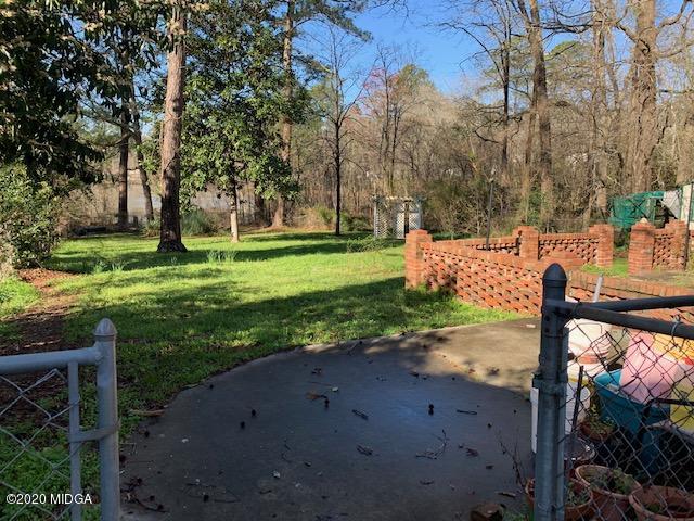back yard