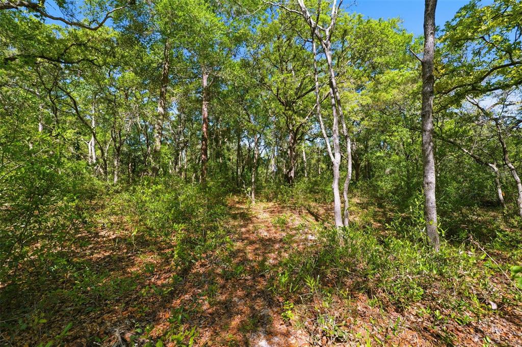 0 Coyote Road Hudson, FL 34669 - Photo 12 of 13