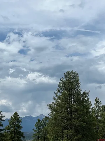 a city view with lot of green space