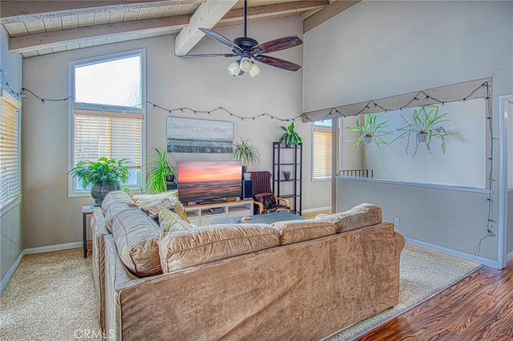 209 Walnut Street Newport Beach, CA 92663 - Photo 18 of 30 a living room with furniture and a potted plant