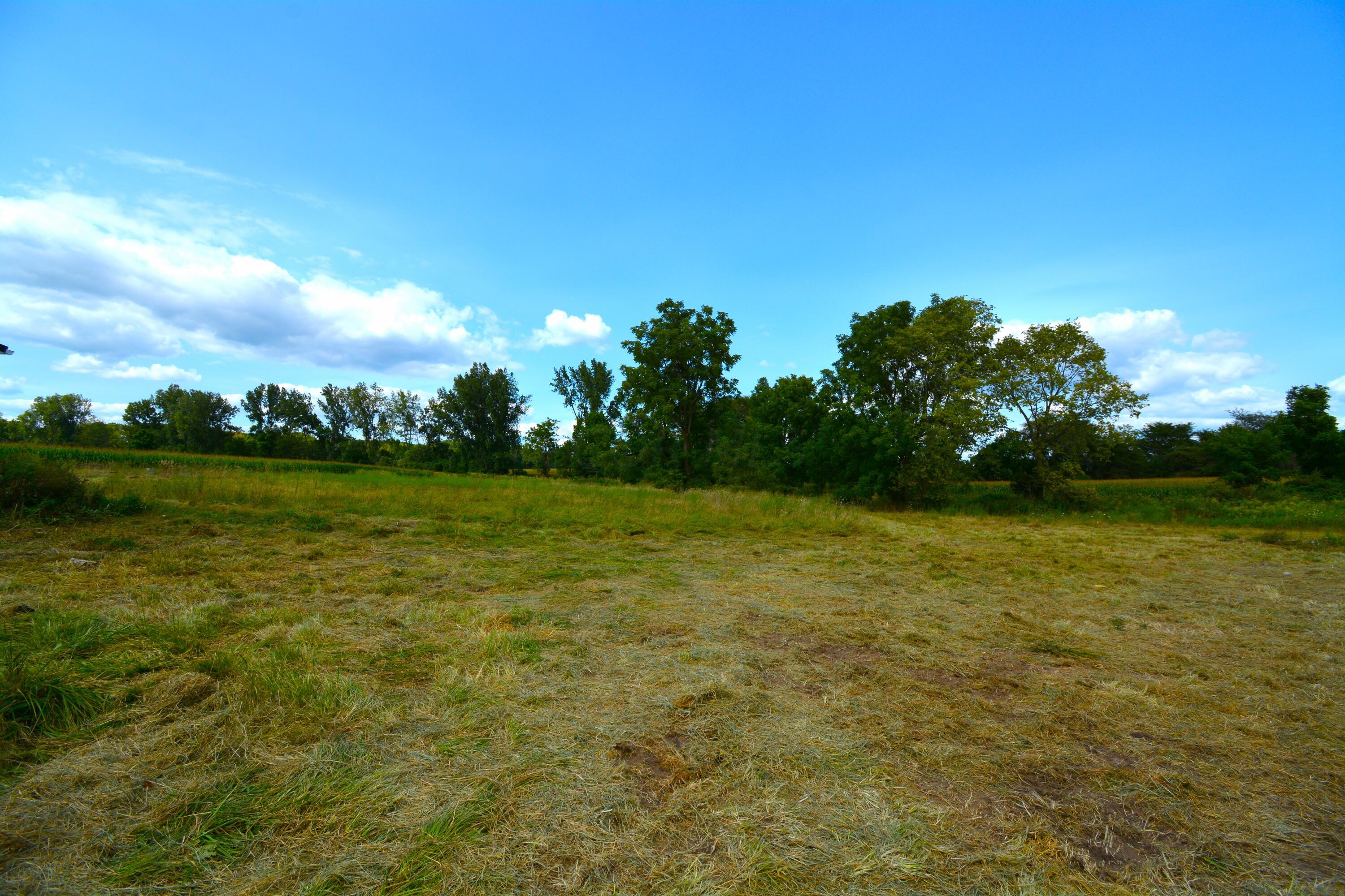 2803 County Road 69 Edison, OH 43320 - Photo 4 of 6 DSC_6854