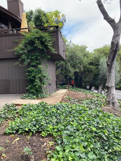 a backyard of a house with lots of green space