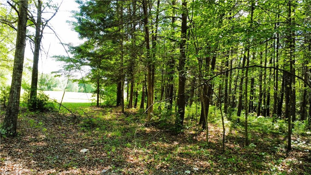 0 Eden Road Stoneville, NC 27048 - Photo 11 of 19