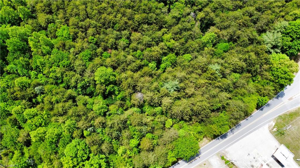 0 Eden Road Stoneville, NC 27048 - Photo 13 of 19