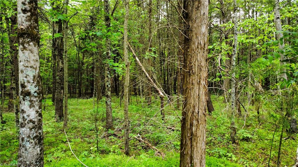 0 Eden Road Stoneville, NC 27048 - Photo 15 of 19